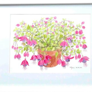 Watercolour painting of Flowering Fushia in a pot by an Irish artist. Buy paintings for your home or office 100% hassle free shopping